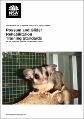 possum-glider-rehabilitation-training-standards-210313.pdf.jpg