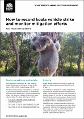 koalavehiclestrikefactsheet4howrecordkoalavehiclestrikemonitormitigation200232.pdf.jpg