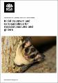 rescued-possums-gliders-treatment-care-guidelines-210312.pdf.jpg
