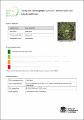 lake-keepit-hakea-hakea-pulvinifera-2016-17.PDF.jpg