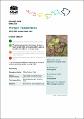 winged-peppercress-lepidium-monoplocoides-2022-23.PDF.jpg