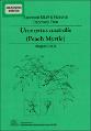 Approved NSW and National Recovery Plan Uromyrtus Australis Peach Myrtle August 2005.pdf.jpg