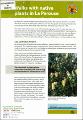 Walks With Native Plants in La Perouse.pdf.jpg