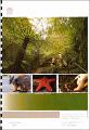 Draft New South Wales Biodiversity Strategy 2010-2015.pdf.jpg