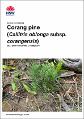 corang-pine-callitris-oblonga-subsp-corangensis-2023-post-fire-survey-corang-river-230349.pdf.jpg