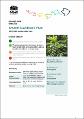 smooth-davidsons-plum-davidsonia-johnsonii-2022-23.PDF.jpg
