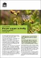 purple-copper-butterfly-paralucia-spinifera-fact-sheet-200458.pdf.jpg