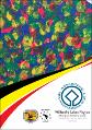 willandra-lakes-region-aboriginal-advisory-group-research-code-practice-2021.pdf.jpg