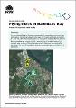 flying-foxes-in-batemans-bay-camp-management-case-study-210128.pdf.jpg