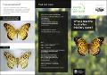 saving-our-species-australian-fritillary-brochure-170421.pdf.jpg