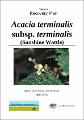 sunshine-wattle-acacia-terminalis-subsp-terminalis-recovery-plan.pdf.jpg