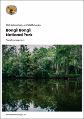 bongil-bongil-national-park-plan-of-management-240297.pdf.jpg