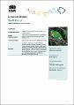 swift-parrot-lathamus-discolor-2018-19.PDF.jpg