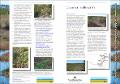 Coastal_Saltmarsh_A3_110108.pdf.jpg