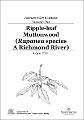 ripple-leaf-muttonwood-rapanea-species-a-richmond-river-recovery-plan.pdf.jpg