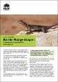 barrier-range-dragon-ctenophorus-mirrityana-fact-sheet-200494.pdf.jpg