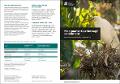 annual-environmental-watering-priorities-17-18-macquarie-170310.pdf.jpg