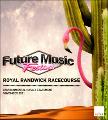 Future Music Festival Royal Randwick Racecourse Environmental Impact Statement November 2011.pdf.jpg