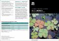 annual-environmental-watering-priorities-2019-20-namoi-190289.pdf.jpg