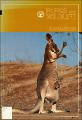 Kangaroos and Other Macropods of New South Wales.pdf.jpg