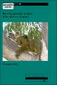 Approved Recovery Plan for the Koala Phascolarctos Cinereus November 2008.pdf.jpg