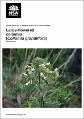 large-flowered-collomia-survey-2019-190300.pdf.jpg
