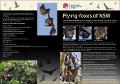 flying-foxes-nsw-100548.pdf.jpg