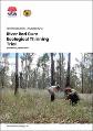 river-red-gum-ecological-thinning-trial-monitoring-report-2020-200267.pdf.jpg