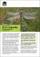 saving-our-species-factsheet-giant-dragonfly-200035.pdf.jpg