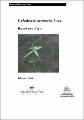 caladenia-arenaria--fitzg-recovery-plan.pdf.jpg