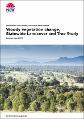 woody-vegetation-change-statewide-landcover-tree-study-summary-rpt-20190193.pdf.jpg