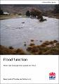 flood-risk-management-flood-function-230230.pdf.jpg