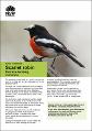 saving-our-species-scarlet-robin-fact-sheet-180429.pdf.jpg