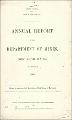 Annual Report of the Department of Mines New South Wales for the Year 1890.pdf.jpg