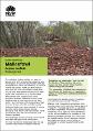 malleefowl-leipoa-ocellata-fact-sheet-200463.pdf.jpg