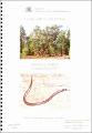 Flora and Fauna of the Monkey Scrub Gulargambone NSW July 2005.pdf.jpg