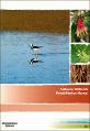 Saltwater Wetlands Rehabilitation Manual.pdf.jpg