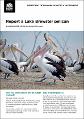 report-lake-brewster-pelican-190609.pdf.jpg