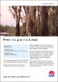 river-red-gum-factsheet-230159.pdf.jpg