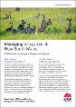 nsw-managing-kangaroos-240036.pdf.jpg