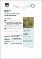 eastern-ground-parrot-pezoporus-wallicus-wallicus-2022-23.PDF.jpg