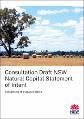 natural-capital-statement-intent-consultation-draft-220206.pdf.jpg