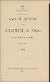 Annual Report of the Department of Mines New South Wales for the Year 1929.pdf.jpg