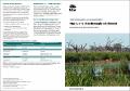 annual-environmental-watering-priorities-2020-21-macquarie-castlereagh-200339.pdf.jpg