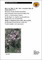 recovery-plan-south-eastern-nsw-lost-threatened-flora.pdf.jpg