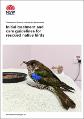 native-birds-initial-treatment-care-guidelines-210623.pdf.jpg