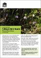 saving-our-species-factsheet-villous-mint-bush-200036.pdf.jpg