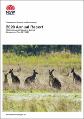 commercial-kangaroo-harvest-management-program-2020-annual-report.pdf.jpg