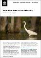 who-eats-what-in-the-wetland-190615.pdf.jpg