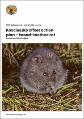 kosciuszko-offset-action-plan-broad-toothed-rat-240214.pdf.jpg